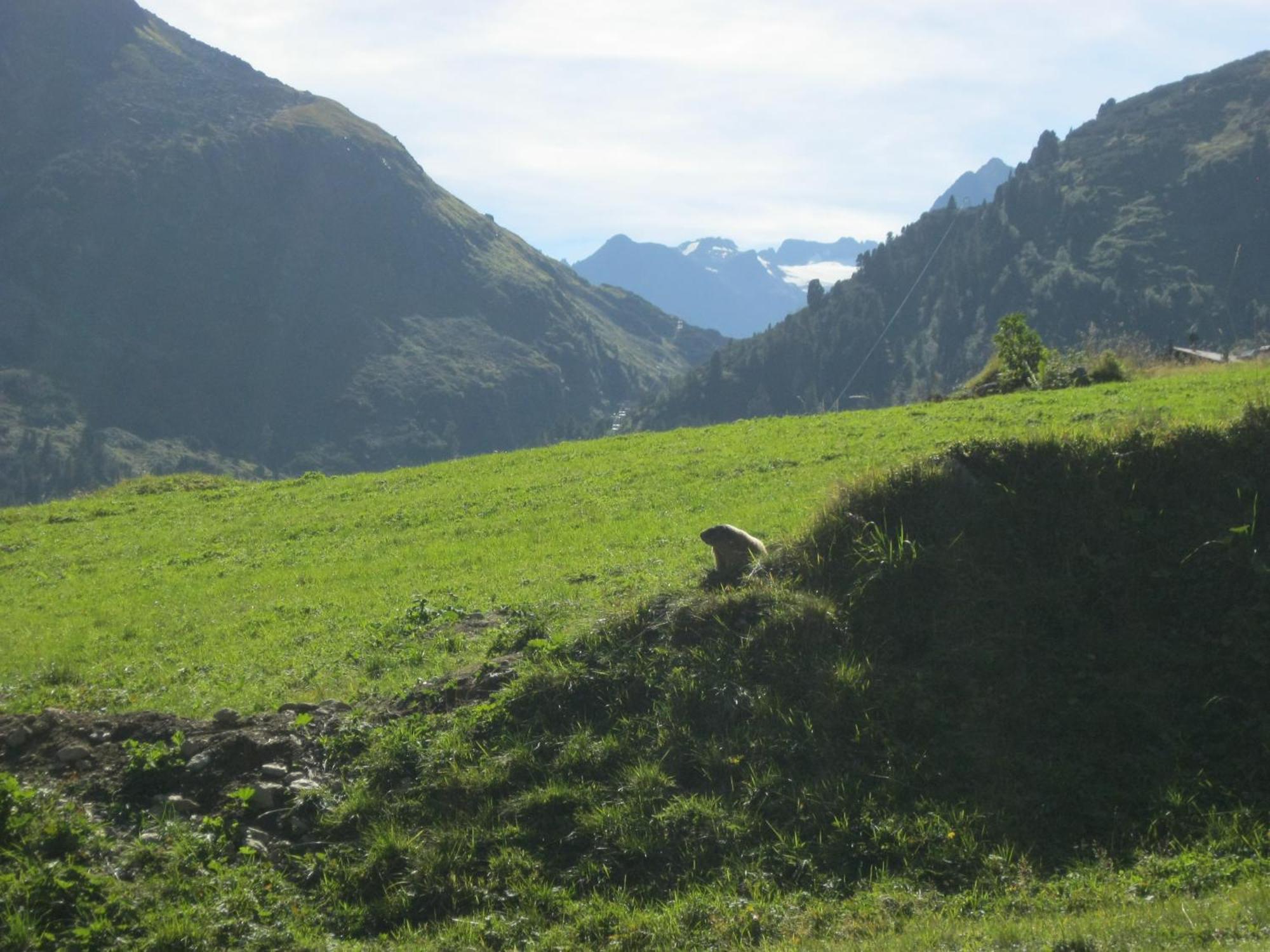 Ferienhaus Stubai Нойщифт им Щубайтал Екстериор снимка